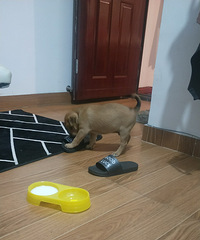 �񵽵�С��������������������˭������������