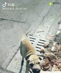 ˭���й�ɳƤ