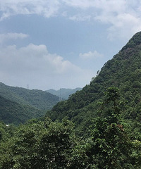 �ŷ�ȥ����