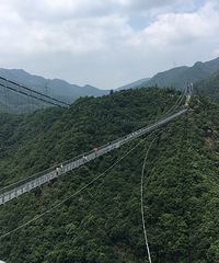 �ŷ�ȥ����