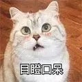 女子給小她10歲的男友買了2套房9輛車!所有收入都歸他管