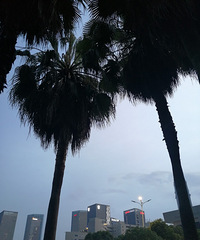 ��ȥ���ߣ�