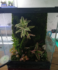 ���ܸ�ϵ��