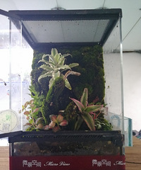 ���ܸ�ϵ��