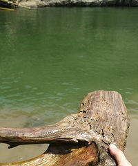 ���ϵ�����