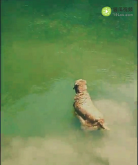 ���ϵ�����