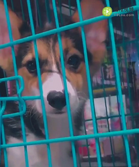 �ɰ��Ĺ��������ǵ����