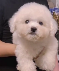 ���ܵܵ�һ��