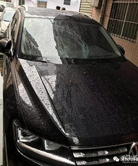 又一起!小区"高空坠狗"吓坏路人!主人:狗自己跳的