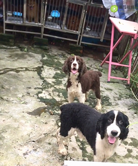 ϲ������ļ�΢�Ż��ཻ��