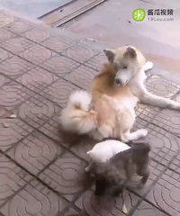 С�һ��Ƿŷ���