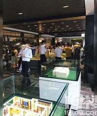 临安一手住宅单价一万六 看房专车接送