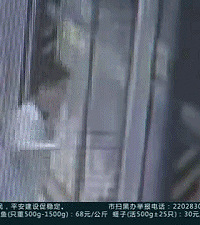 5岁男孩地铁徒手强扒地铁门!爸妈呢?真不怪他“熊”还略心酸…