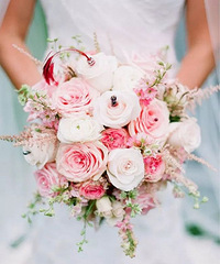 ������������ʲô��������֪���Ļ������������ܶ�����~