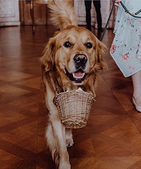 15���ͻ�䴴�⣬��2���������