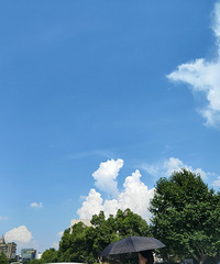 路過