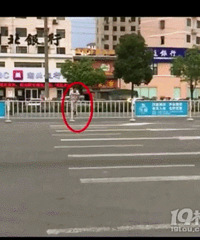 男子翻越护栏被交警前后夹击一脸尴尬 网友:进退两“男”