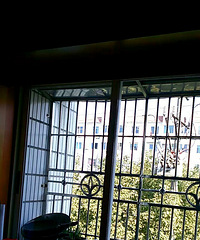 �����ӵ�������13185631085