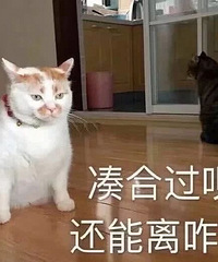 ���µ����ޣ����Ƕ�����ο��ʺ��ƨ�ļ��ģ�