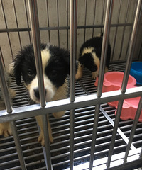 ���������ֻ�