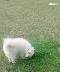 �����ܵ�������