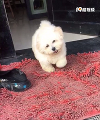 中秋特惠