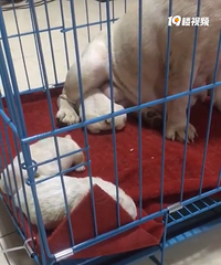 û�취���㿪�ľͺ�