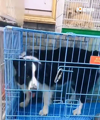 ���ѵı����ͼ۳�