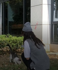 杭州95后姑娘立遗嘱财产留给猫!网友发出灵魂拷问!