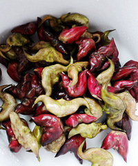 10元有3斤的鮮菱角,沒想到有這么多食補功效!