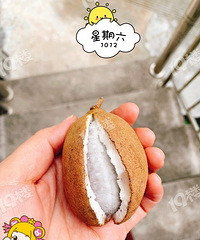 我敢保證19樓的網友絕大多數沒吃過這個!