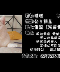 银点种公借配