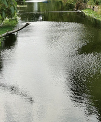 �簲