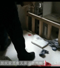 ���ҳ���һ�����ߣ�һ��ҧס�ˣ����ε�һĻ������