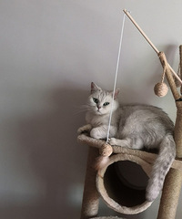 ÿ����Ҫ��������һ���޹�