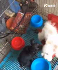 ���������ҹ�����