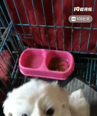 ����������˳�