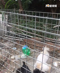 �����ͼ�����������ʲô