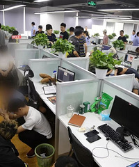 朋友圈屏蔽同事罚款100元,你的朋友圈有屏蔽同事吗?