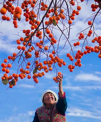 ת���ʽ罡���żӵ�ʣ���꿨