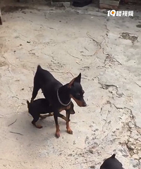 �ȴ���Ե��