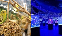 49元起带娃开启嗒咪动物园奇幻之旅