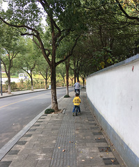 连续3天不明原因的呕吐拉肚子,不是轮状和诺如病毒,咋回事啊