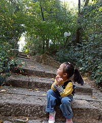 就在家旁边的4A景区!0收费,周末溜娃好地方