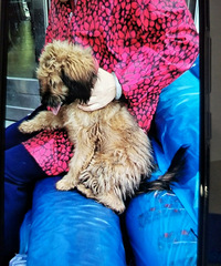 ̩���ӽ�����