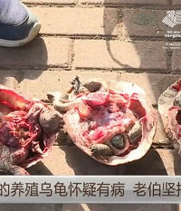 �㽭�󲮲˳������ֻ�ڹ꣬��ɱ���ֲ��Ծ�����