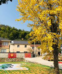 【周末去哪儿】网红地富阳打卡