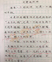 作文评语每次10000字!杭州一小学老师坚持26年,她都写了点啥?