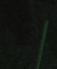 梁洛施深夜陪儿子公园运动,母子玩得很开心