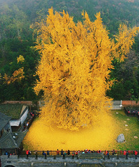 ���ǧ�����ӡ���ը���ˡ���